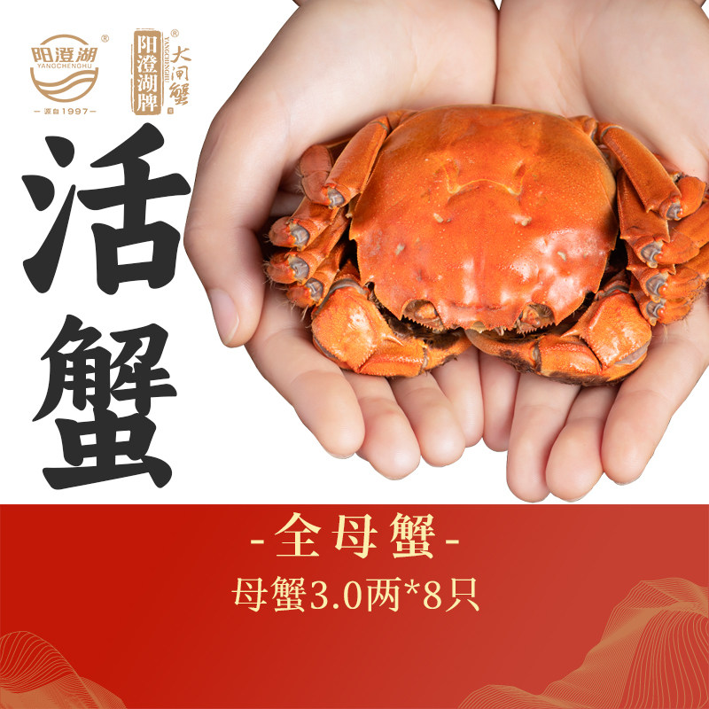 阳澄湖 大闸蟹 全母蟹 鲜活 礼盒装