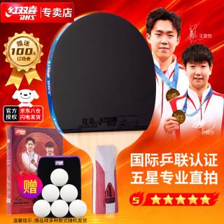 红双喜 狂飚乒乓球拍 直拍双面反胶弧圈结合快攻5星单拍H5006(附拍套)