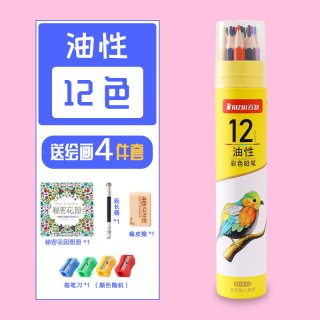 安妮贝比 水溶性彩色铅笔可擦彩铅专业72色手绘成人油性彩铅绘画学生用48色画画套装秘密花园36涂色笔美术初学者绘画笔