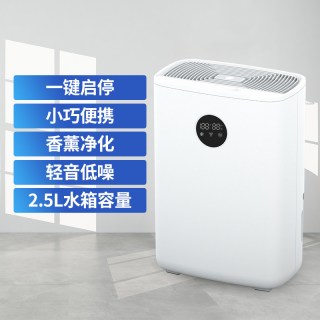 艾普莱斯 美国airplus除湿器家用卧室轻音迷你抽湿机吸湿除湿机除潮干衣机