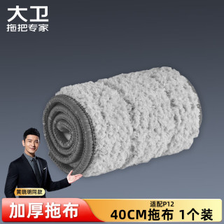 大卫 平板拖把替换配布复合纤维拖布头一块装（适用P12）