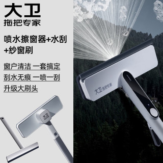 大卫家庭清洗窗户纱窗套装擦窗器S10+纱窗刷+刮水板S6