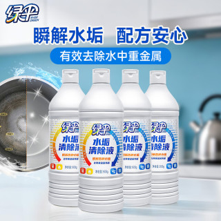 绿伞 水垢清除液900g