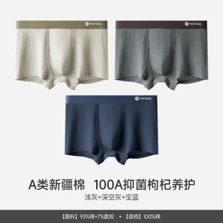芬腾 男士内裤纯棉裆男生2026新款四角短裤衩抗菌透气男式平角裤头