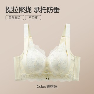 芬腾 内衣女小胸聚拢显大2026新爆款蕾丝提拉防垂调整型收副乳文胸
