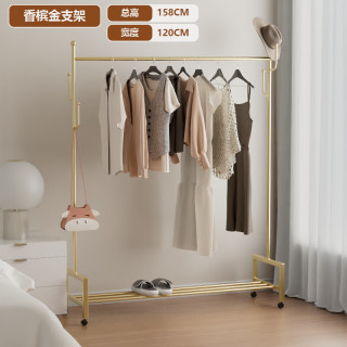 艾风格 简约金属衣帽架家用卧室玄关收纳挂衣架 香槟金-120CM