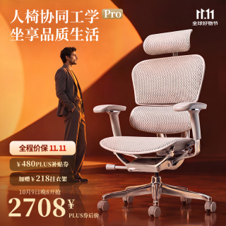 保友办公家具 保友 金豪E2 Pro 人体工学椅 银白美国网