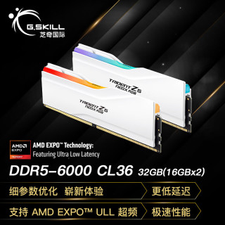 芝奇 32GB(16Gx2) DDR5 6000 台式机内存-焰锋戟X RGB灯条-雾面白/AMD EXPO ULL/C36