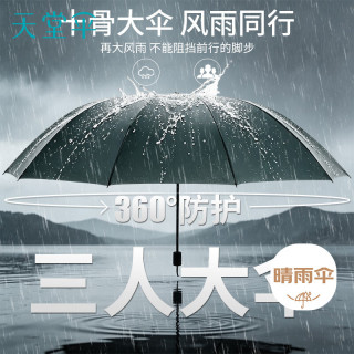 天堂伞 双人晴雨伞三折 10骨超大号抗风易甩干晴雨两用伞男女常规冷山绿