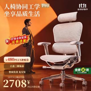 保友办公家具 保友金豪E2 Pro人体工学椅 办公椅电脑椅 银白网
