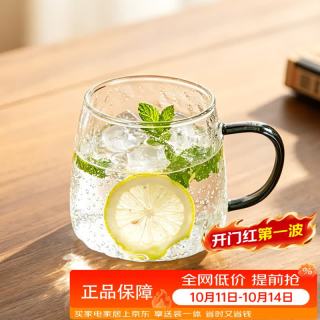 泥也 玻璃杯子水杯高硼硅玻璃茶杯家用带把凉水杯喝水果汁杯马克杯透明