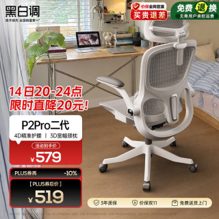 黑白调 P2 Pro 人体工学椅 霜白 标配款