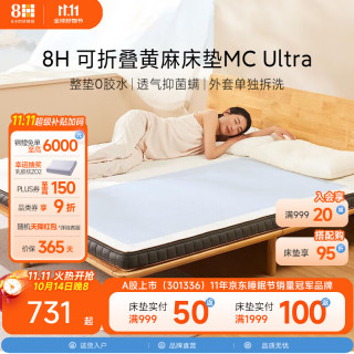 8H 护脊 双人床垫  雅土灰金 偏硬