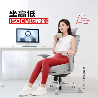 GTCHAIR 高田赛雷 人体工学椅子办公椅电竞电脑椅 觅柔标准款灰色