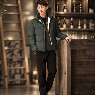 88VIP：威可多 男立领舒暖休闲时尚羽绒服