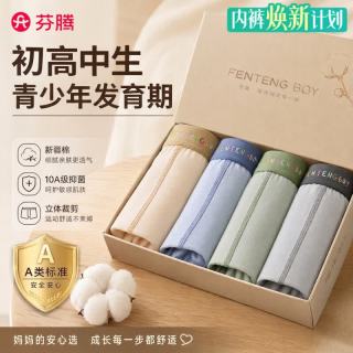 芬腾 青少年内裤男童发育期学生初高中生10A抑菌2026新款四角裤4条XL