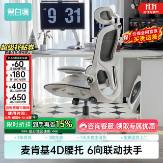黑白调 P2 Pro 二代 人体工学椅 霜白 标配款