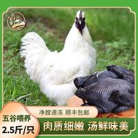 百亿补贴:我老家 顺丰2.4斤正宗黄油老母鸡煲汤新鲜整鸡含鸡心蛋胗月子炖汤
