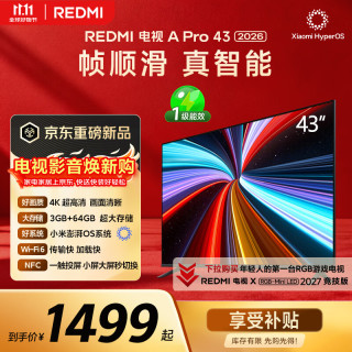 小米 REDMI 红米 A Pro系列 L43RC-AP 液晶电视 43英寸 4K 官方标配