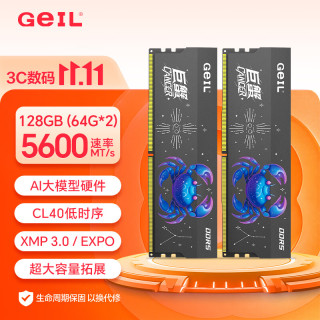 GeIL 128GB(64GBx2)套装 DDR5 5600 台式机电脑内存条  巨蟹马甲条系列灰色C40
