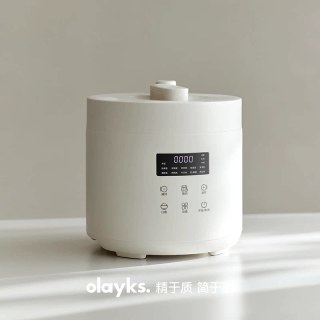 移动端：欧莱克 多功能 电压力锅
