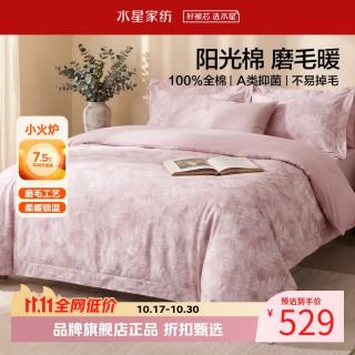 水星家纺 A类抑菌全棉磨毛四件套纯棉秋冬保暖床单枕套被罩套件 花园·雾屿磨毛四件套1.8米床