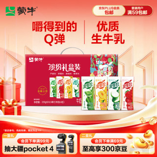蒙牛 真果粒 牛奶饮品组合装 4口味 250g*24盒（芦荟粒+草莓果粒+桃果粒+椰果粒）