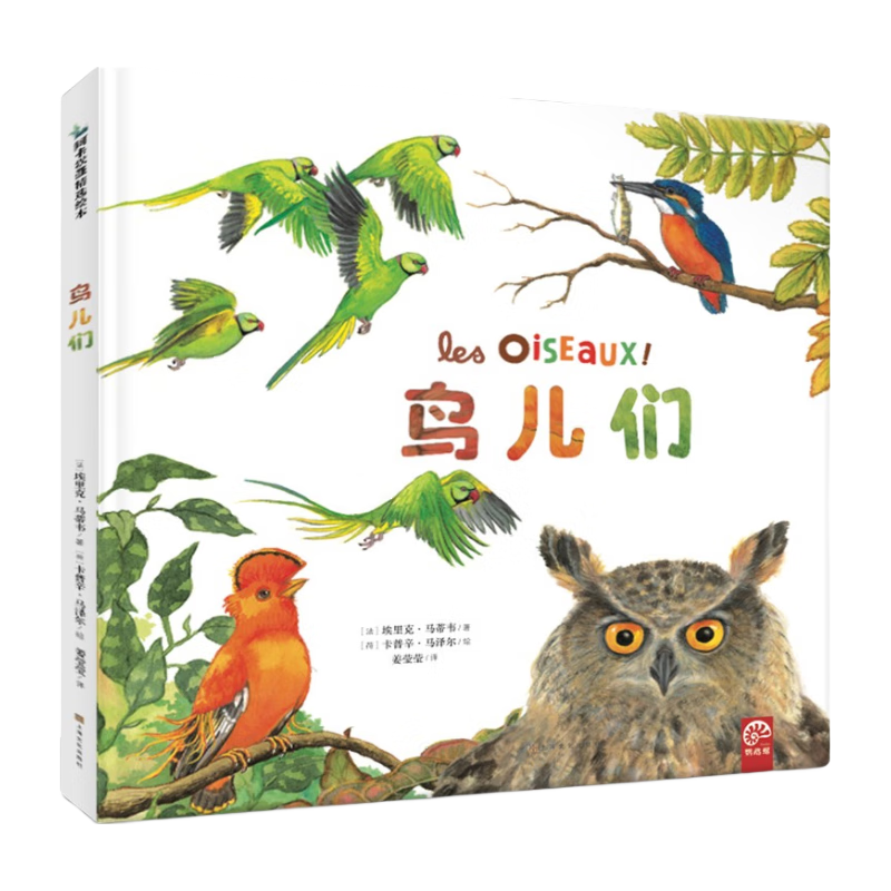 《鸟儿们》（精装）