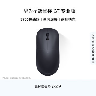 华为 星跃鼠标 GT 专业版 30000DPI 黑色