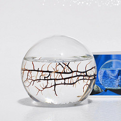 新鲜物：Ecosphere 生态球