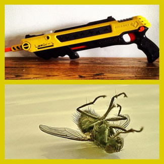 拳打南山蚊子帮，脚踢北海苍蝇党：再测Bug-a-salt 盐弹灭蝇枪2.0版