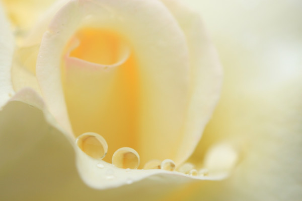 副厂好价:TAMRON 腾龙 SP 90mm F/2.8 Di MACRO 1:1 VC USD 微距镜头(型号F004)