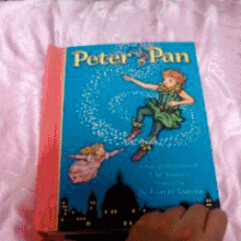 《Peter Pan: A Classic Collectible Pop-Up》彼得潘经典立体书