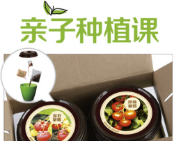 《亲子小果园:宝石草莓、珍珠番茄》(套装共2册)