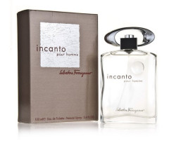 Ferragamo 菲拉格慕 美梦成真 男士香水 100ml