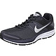 Nike 耐克 男子跑步系列 AIR PEGASUS+ 29 SHIELD 跑步鞋 536865