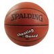 SPALDING  斯伯丁 位置系列   NBA 74-101  篮球