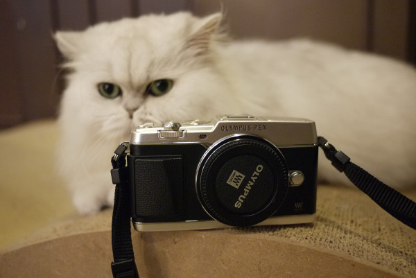 E-P5 银色