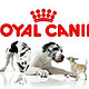 促销活动：亚马逊中国 ROYAL CANIN 皇家 宠物食品