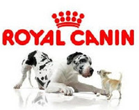 促销活动：亚马逊中国 ROYAL CANIN 皇家 宠物食品