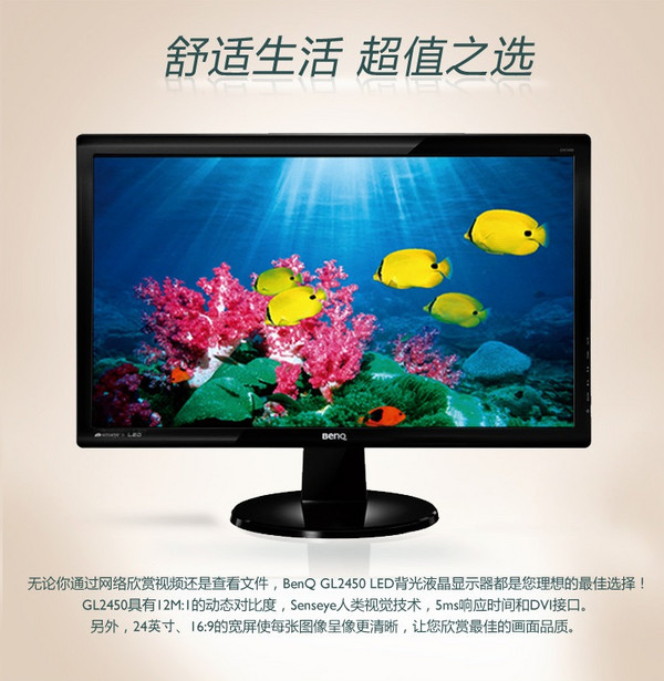 GL2450 华南/西北:BenQ 明基 GL2450 24寸LED显示器