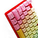 Cherry 樱桃 G80-3800 彩虹机械键盘 键帽