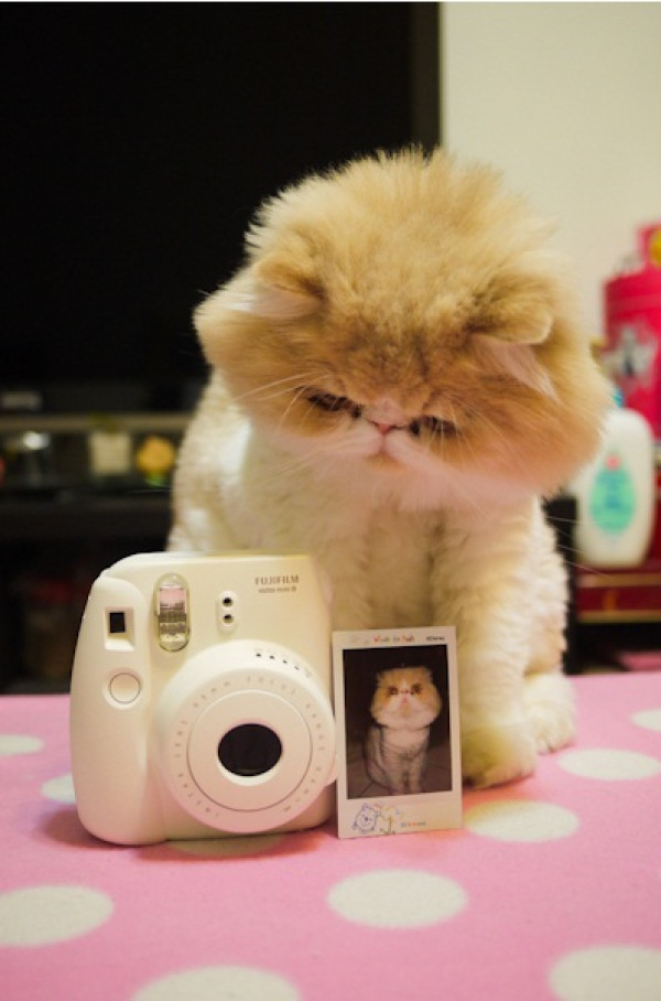 FUJIFILM 富士 instax mini 8 一次成像相机