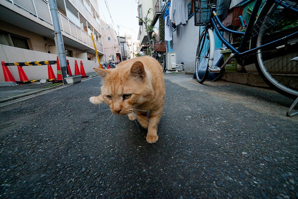 14mm F2.8 IF ED UMC AS，5D2
