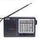 TECSUN 德生 R-9012 袖珍式高灵敏度12波段收音机
