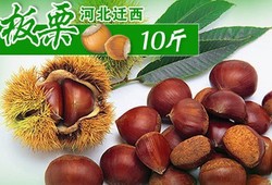 生迁西板栗 10斤 