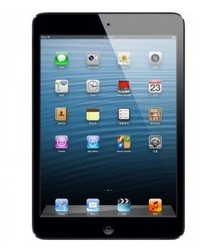 Apple 苹果 iPad mini 16G wifi版 平板电脑 黑色 MD528CH/A