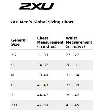 2XU Swimmers Compression Long Sleeve Top 男式恢复款压缩上衣