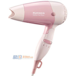 FLYCO 飞科 FH6203 电吹风