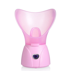 POVOS 奔腾 PW101 蒸面仪器